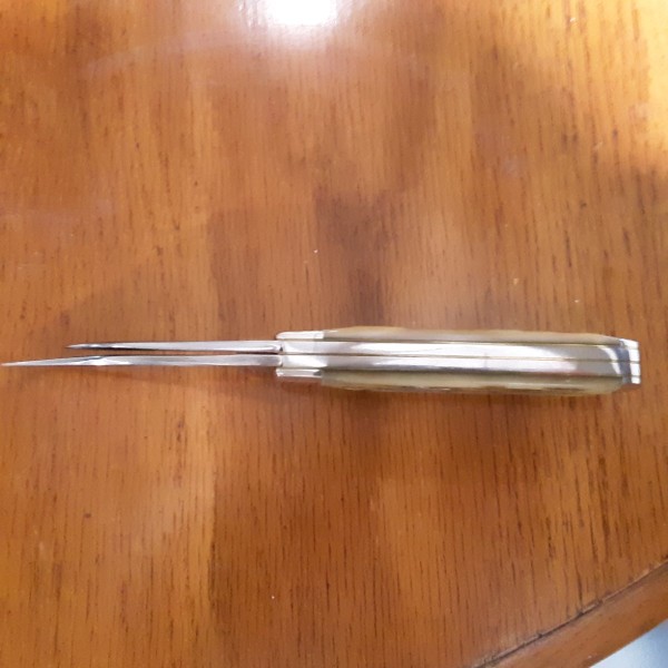 20230626_183635.jpg