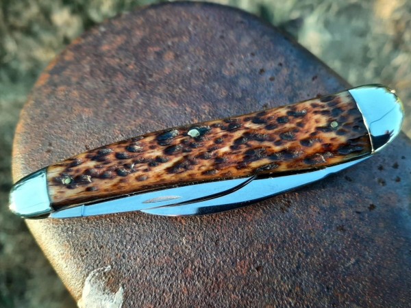 thumbnail_20210725_201257.jpg