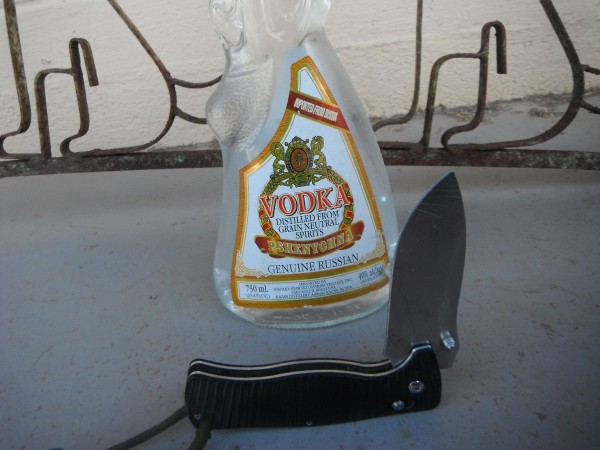 DSCF2730.JPG