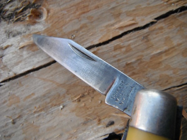 DSCF3013.JPG