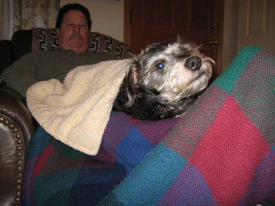 Jake napping.jpg