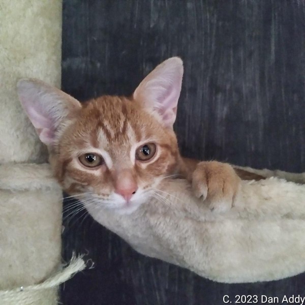 Harald In Nest (1).jpg