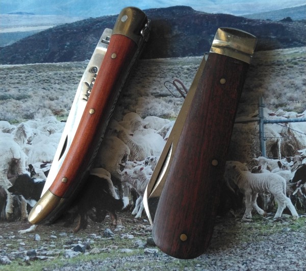 KIMG3257~2.JPG