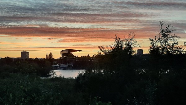 20230804_205145.jpg