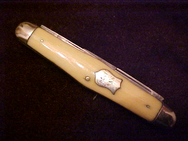 Ivory08.JPG