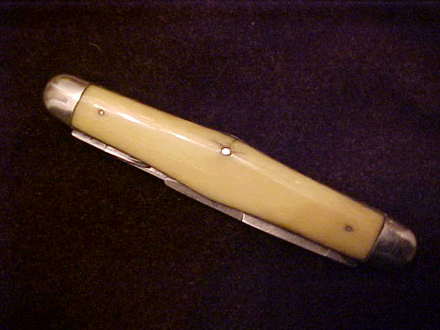 Ivory09.JPG