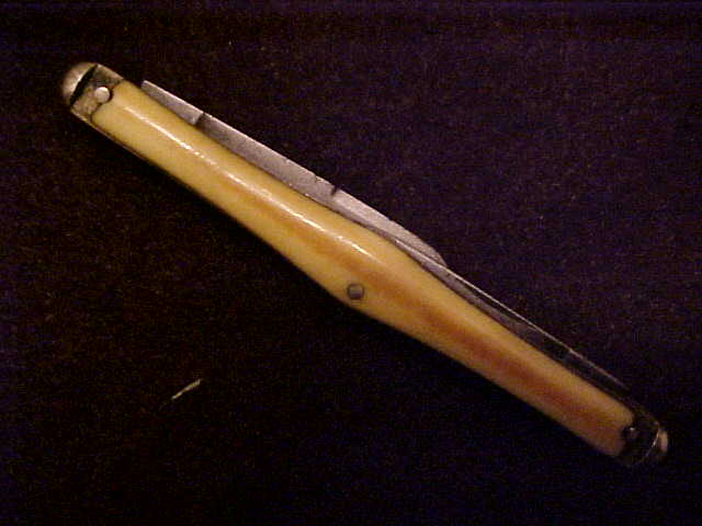 Ivory14.JPG