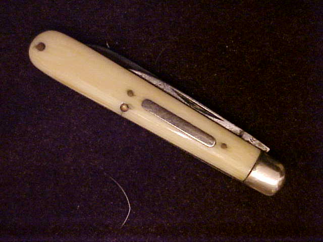 Ivory19.JPG
