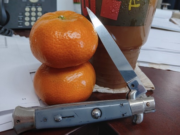 20230815_081257.jpg