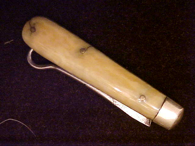Ivory21.JPG