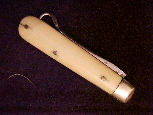 Ivory22.JPG
