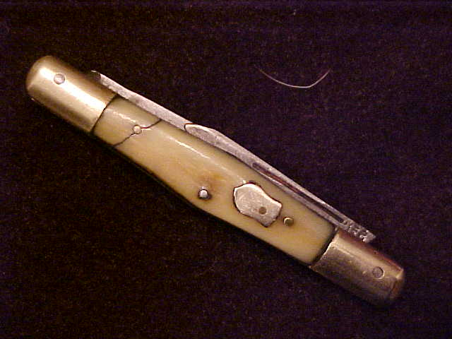 Ivory23.JPG