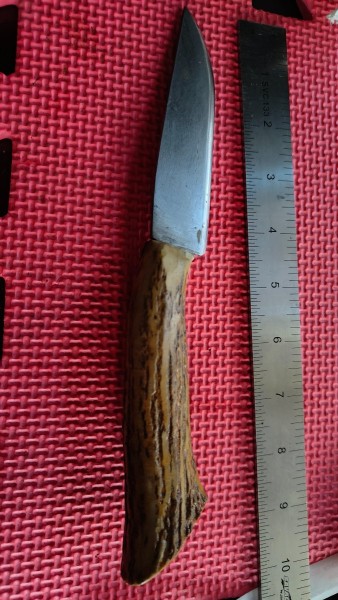 IMG20230817123003.jpg