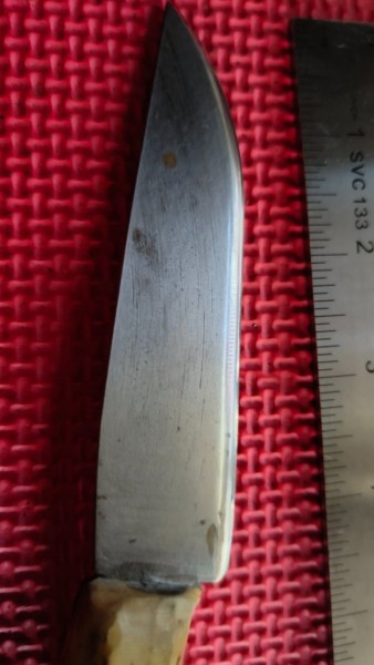IMG20230817123006.jpg