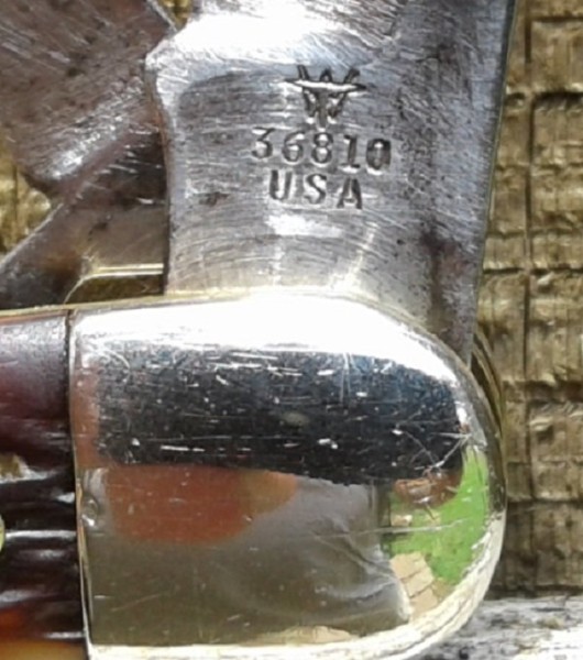 72 clone WT36810_c.jpg