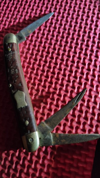 IMG20230817231304.jpg
