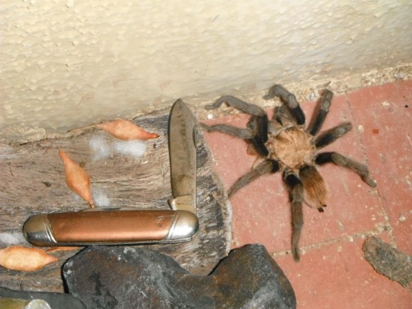 DSCF3558.JPG