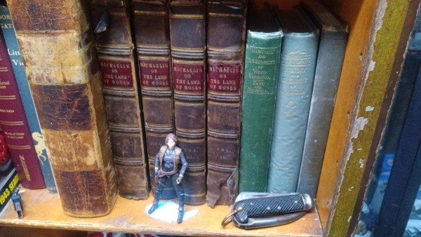 IMG_20230818_170525.jpg