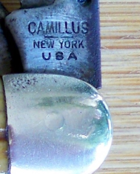 Cam SL 72 bone_b.jpg