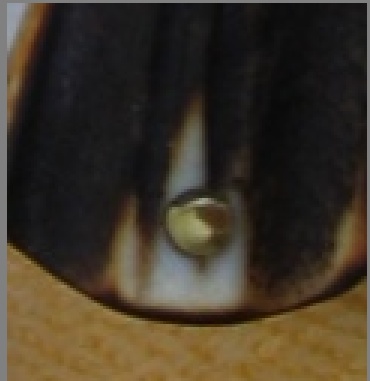 ghost2.jpg
