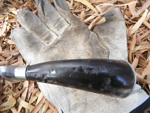 DSCF3599.JPG
