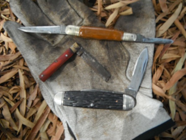 DSCF3588.JPG