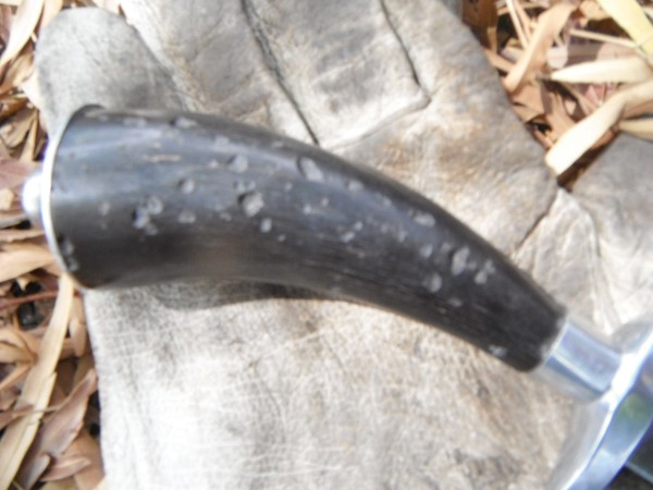 DSCF3597.JPG
