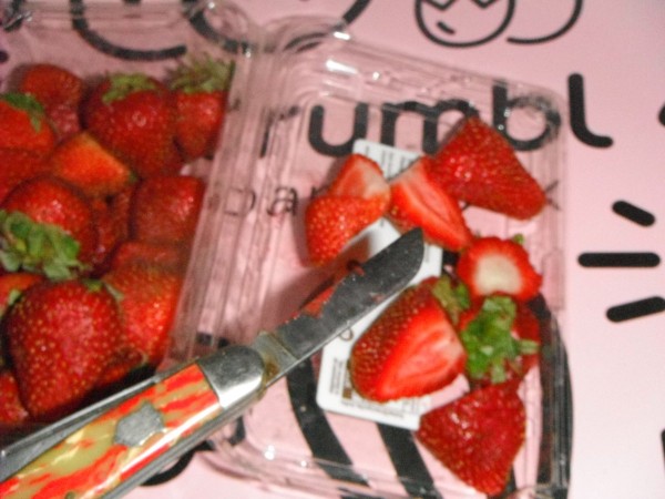 DSCF3576.JPG