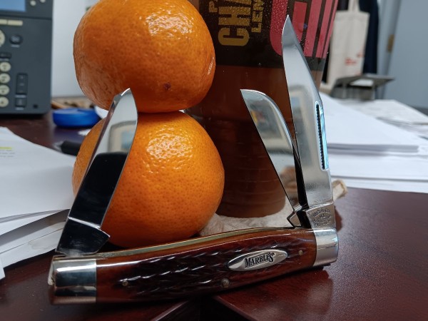 20230829_081019.jpg