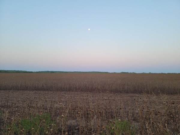 20230901_071255.jpg