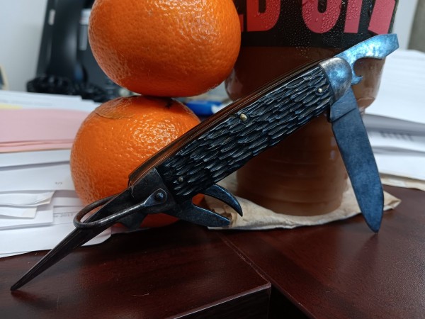 20230908_082924.jpg