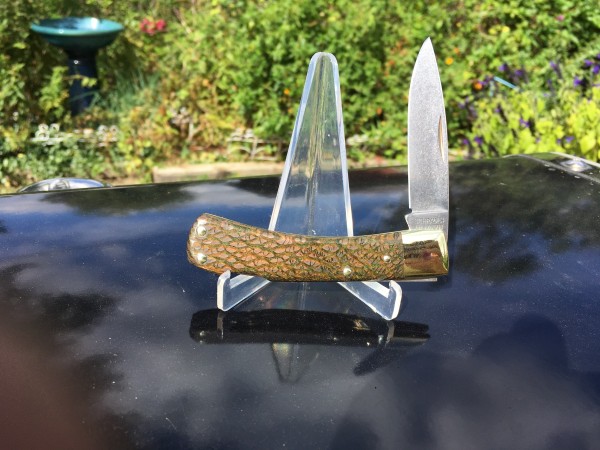 5ot Dyed Leopardwood