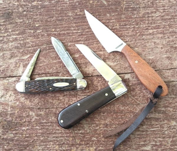 KIMG5950~2.JPG