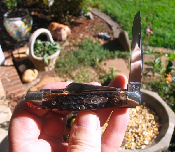 Case 6318 1979.JPG