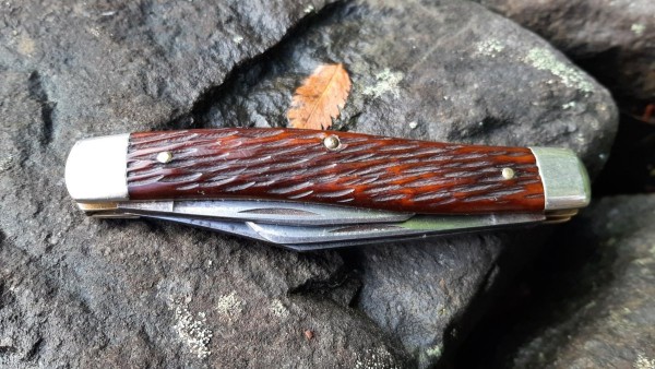 20230926_092204.jpg