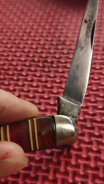 IMG20230930141505.jpg