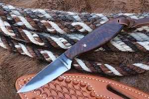 IMG_2193_thumbnail.jpeg
