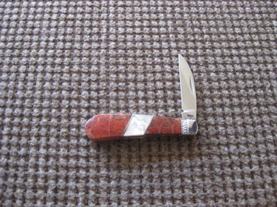 TB swayBack case.JPG