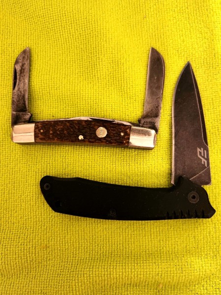 1000003534.jpg