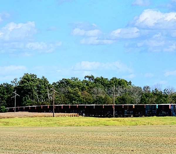 20231009_145425.jpg