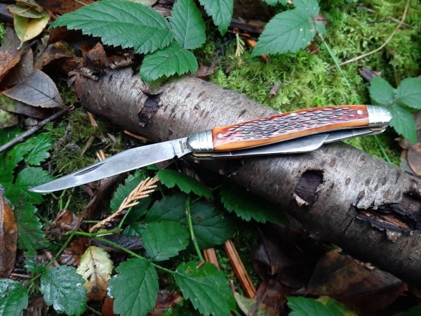 thumbnail_20200926_184653.jpg