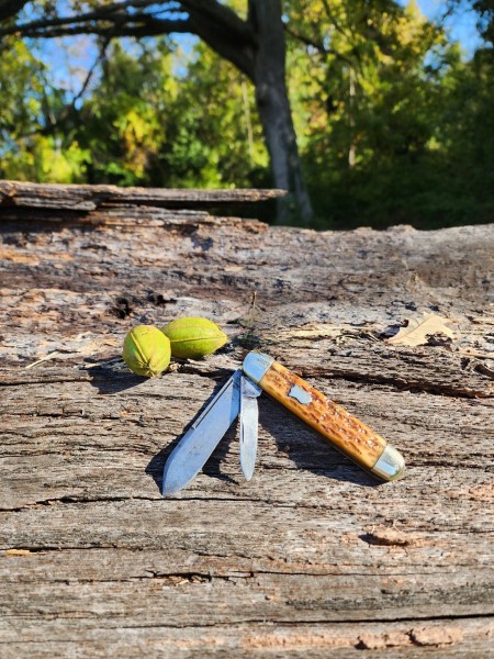 Thomaston w/Pecans