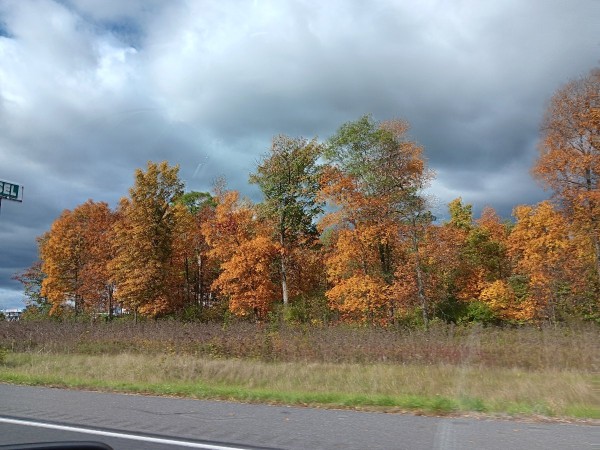 20231021_105523.jpg