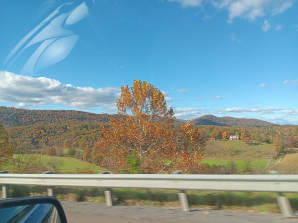 20231022_161523.jpg