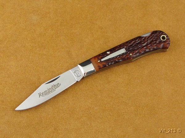 Bullet 1984 R1303.jpg