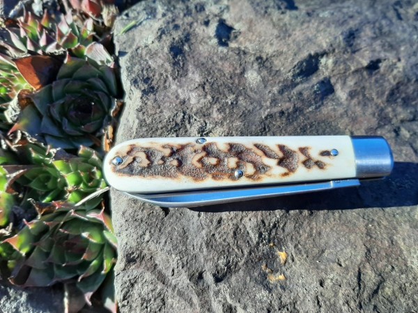 thumbnail_20201202_135222.jpg