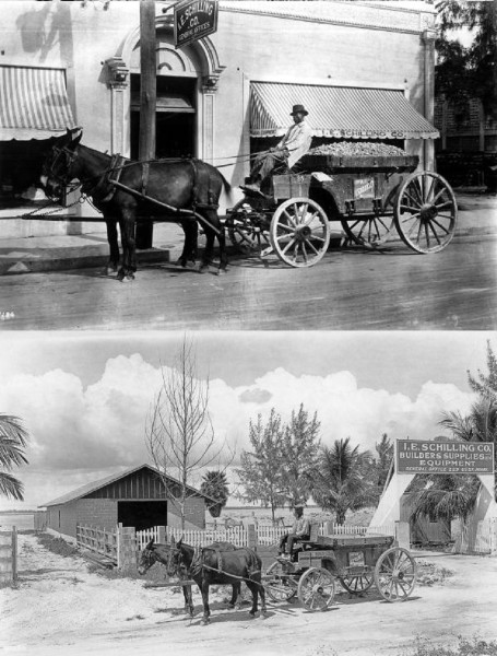 Top - I. E. Schilling Company, Miami, Florida. Circa 1921.<br />Bottom - I. E. Schilling Company, Miami, Florida. Circa 1922.<br />NOT My Pictures.