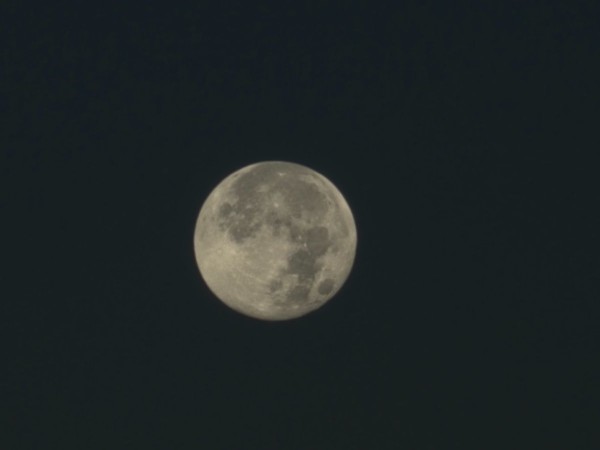 20231029_072506.jpg