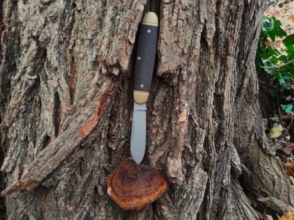 Boker on the trail II.jpg