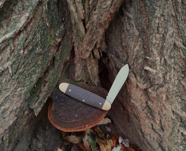 Boker on the trail.jpg